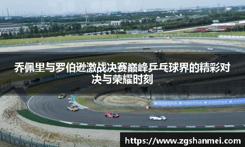 乔佩里与罗伯逊激战决赛巅峰乒乓球界的精彩对决与荣耀时刻